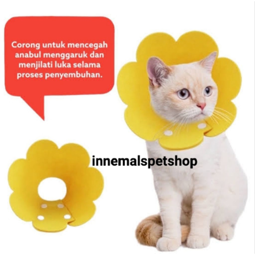 Collar kancing leher neck kucing anjing