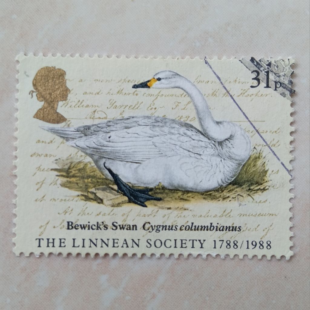 

Perangko Prangko Jadul Inggris UK Seri Linnean Society 1988 - YN2656