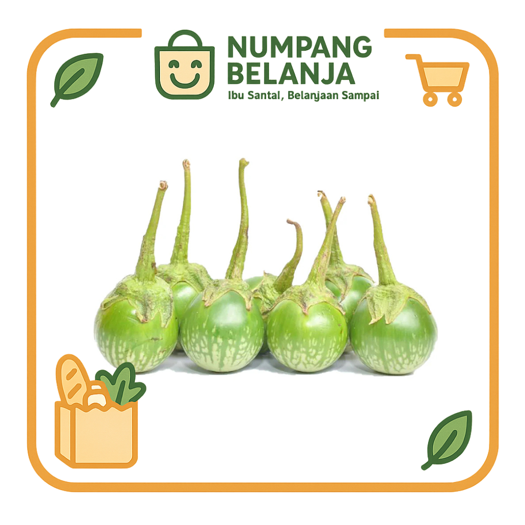 

terong bulat sayur fresh [250g]