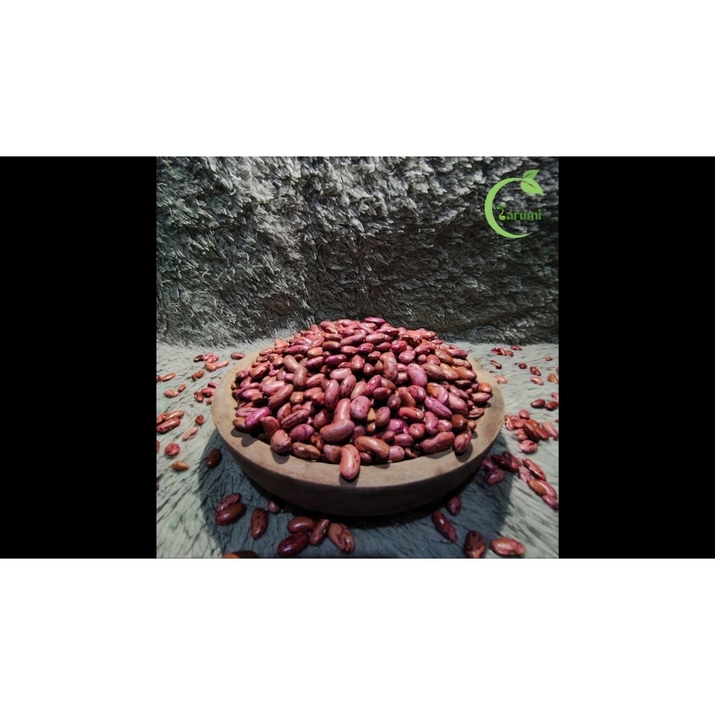 

Kacang merah / Snerek / Senerek / Kacang Jogo / Kacang Ocet / Kacang Sop / Kacang Es / Kacang Buncis Organik Lokal Kualitas Unggulan