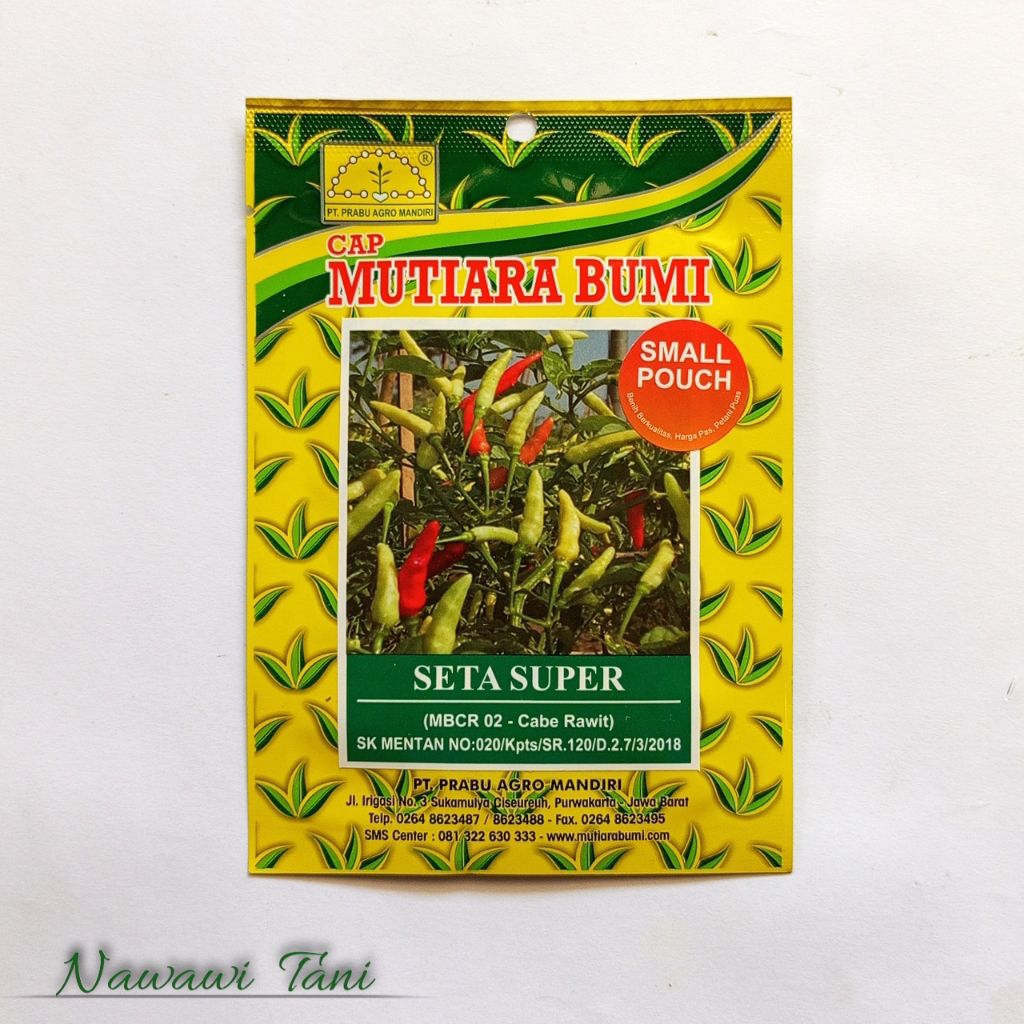 600 BENIH CABE RAWIT UNGGUL SETA SUPER ORIGINAL PABRIK