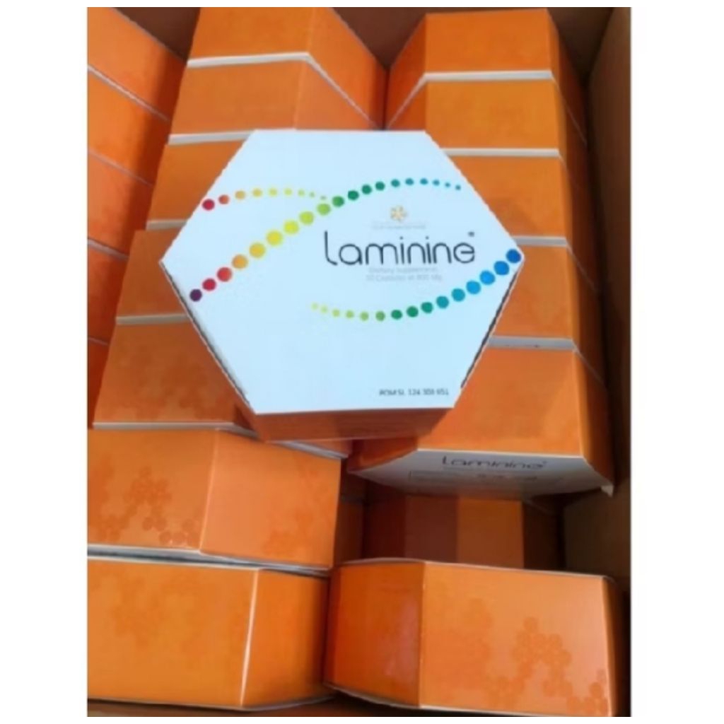 Laminine laminine Stem Cell