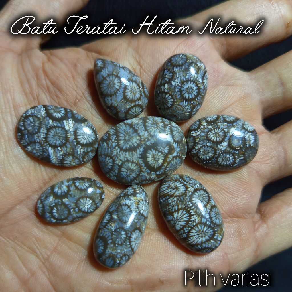 batu teratai hitam natural/lostun batu akik teratai hitam/batu motip teratai hitam/batu akik