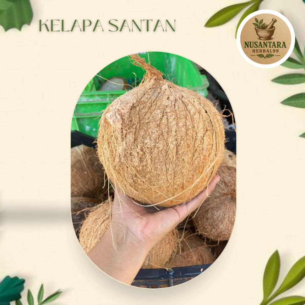 

Kelapa 1 Butir kelapa Santan Berat 700-800g