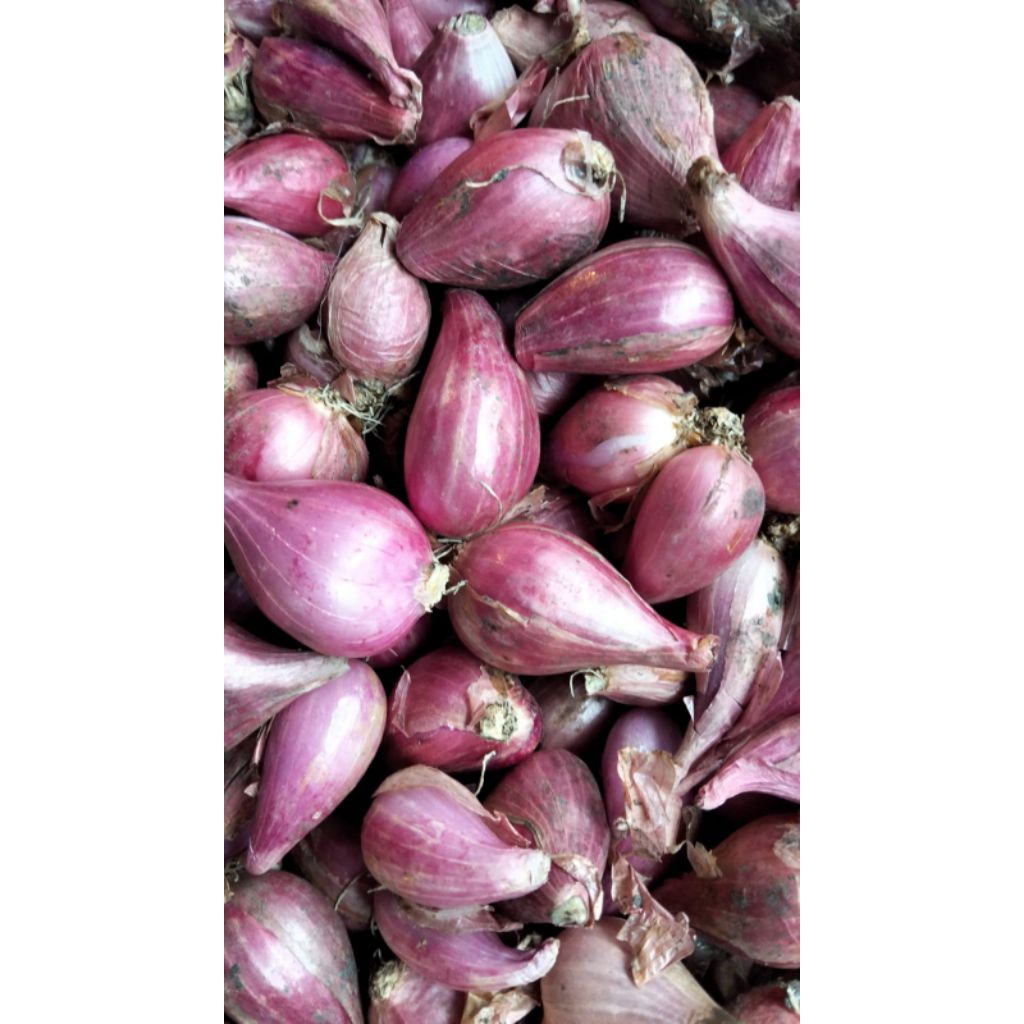

bawang merah 500g