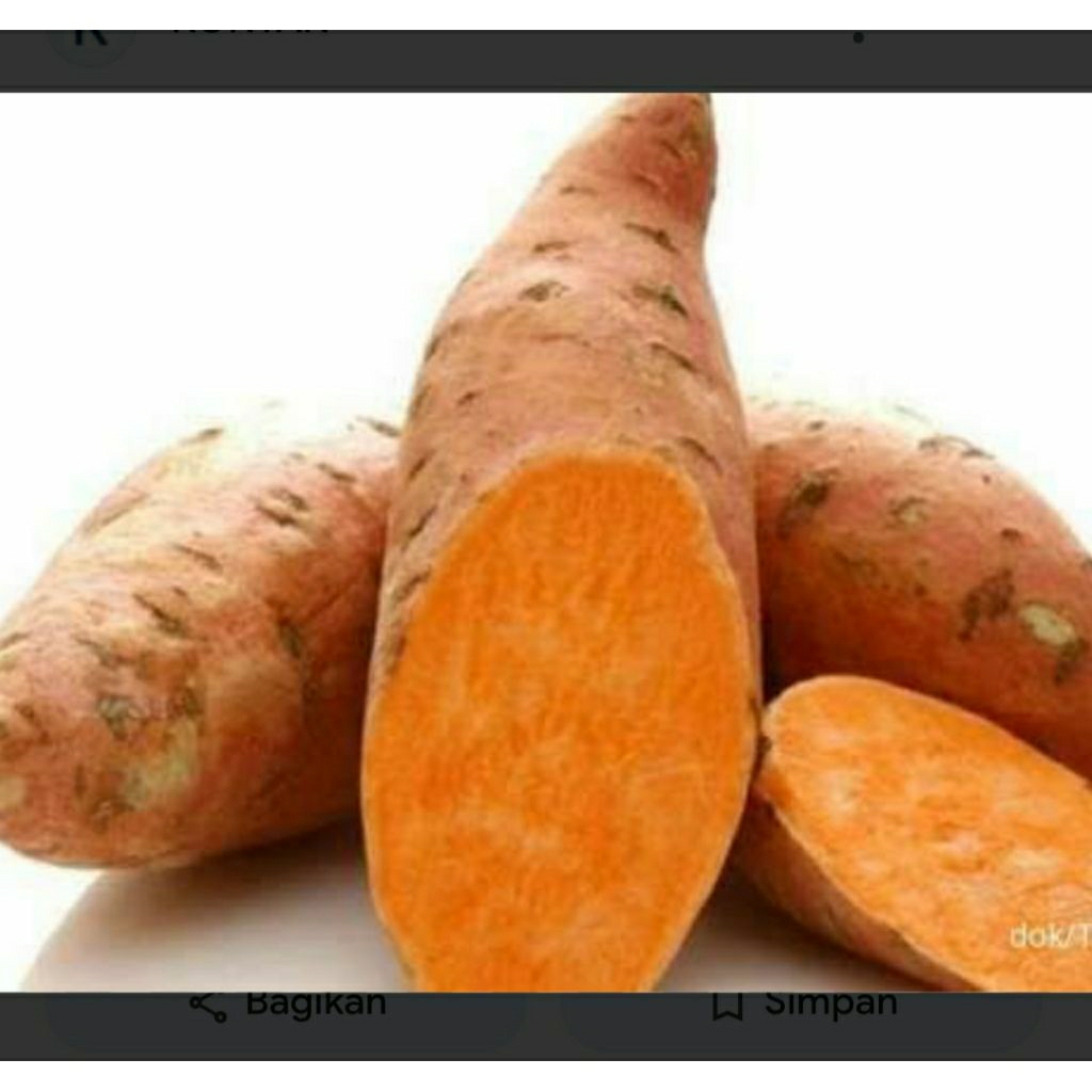 

telo / ubi madu asli pacet 1kg