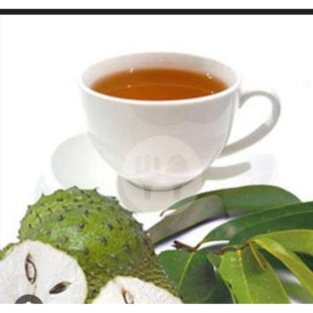 

teh herbal daun sirsak/soursop/annona muricata isi 20 bag gratis ongkir