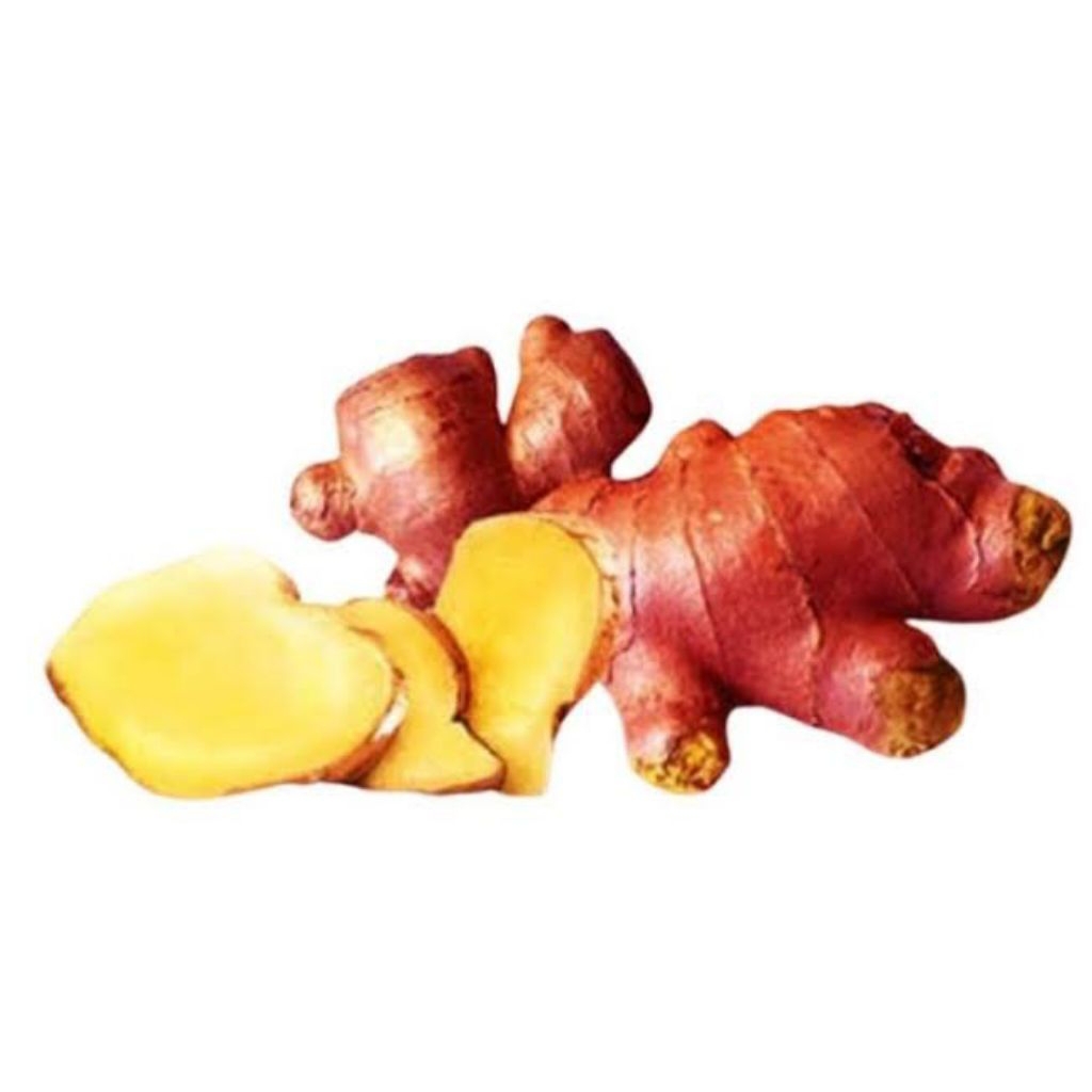 

Jahe Merah Fresh 250 gr (Rempah Segar)