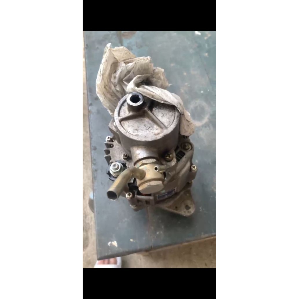 dinamo Amper izusu traga copotan original