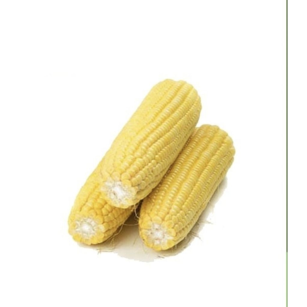 

sayur jagung manis 500g 1kg