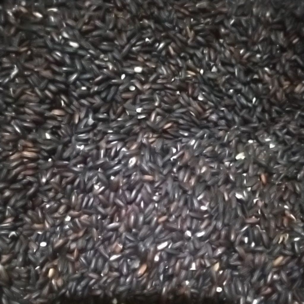 

ketan hitam asli 250g,500g,1kg