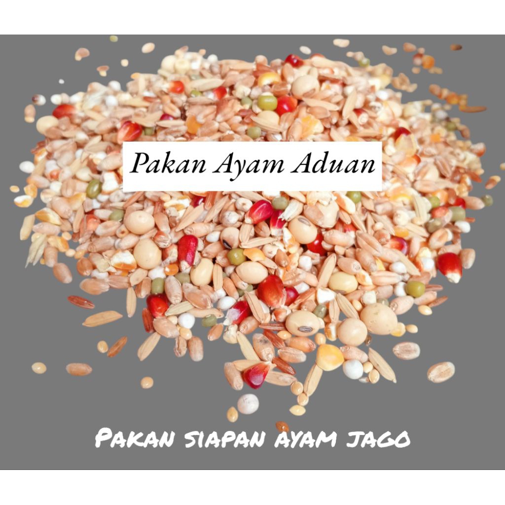 

1 KG BIJI BIJIAN PAKAN AYAM ADUAN - PAKAN SIAPAN AYAM ADUAN