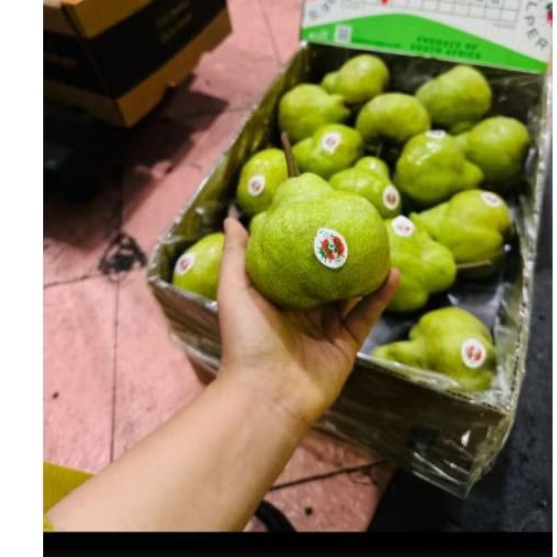 

buah pear jambu