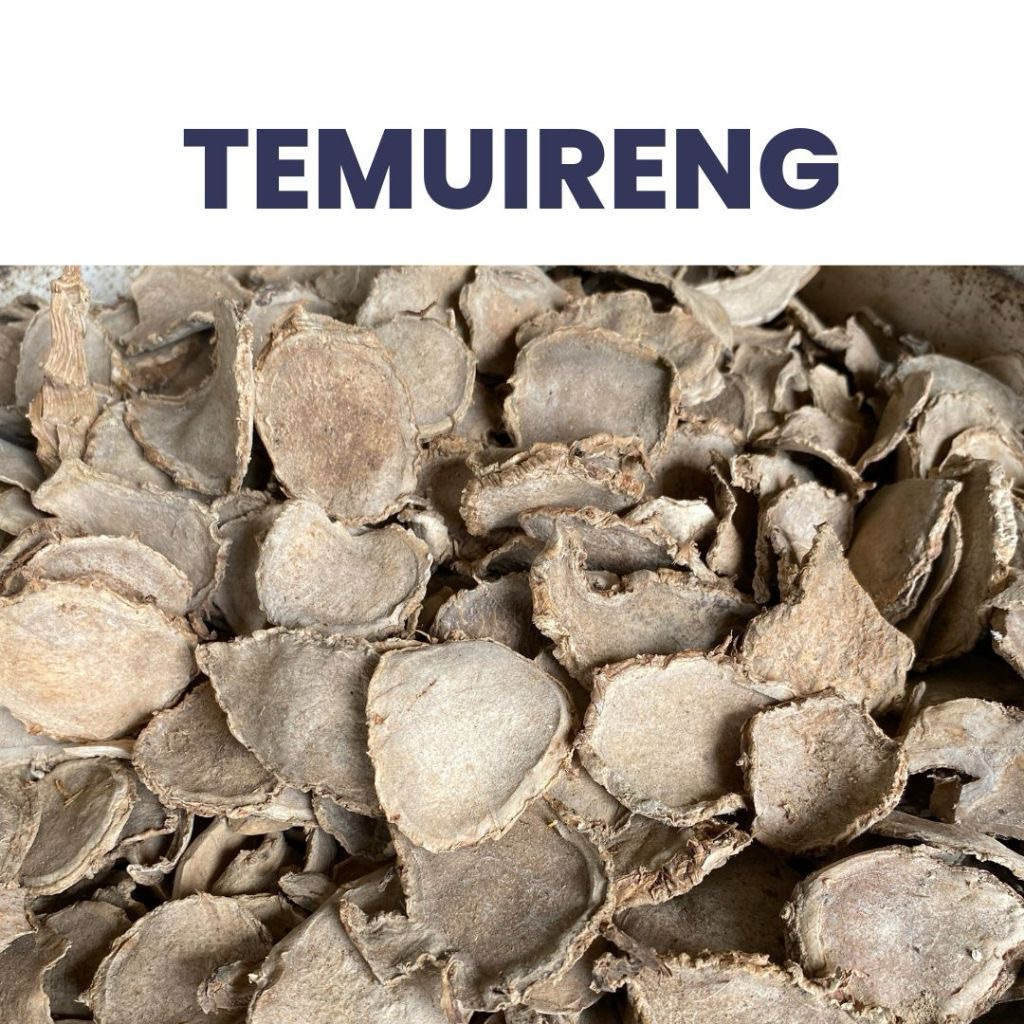 

Temu Ireng Kering dan Bubuk 100 Gram - Herbal Tradisional Nafsu Makan dan Pencernaan