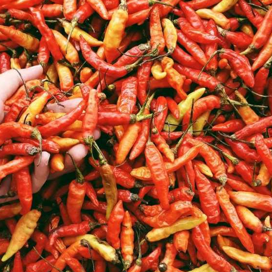 

Cabai Rawit 500gram- 1Kg Segar Rasa Pedas Asli ciwidey