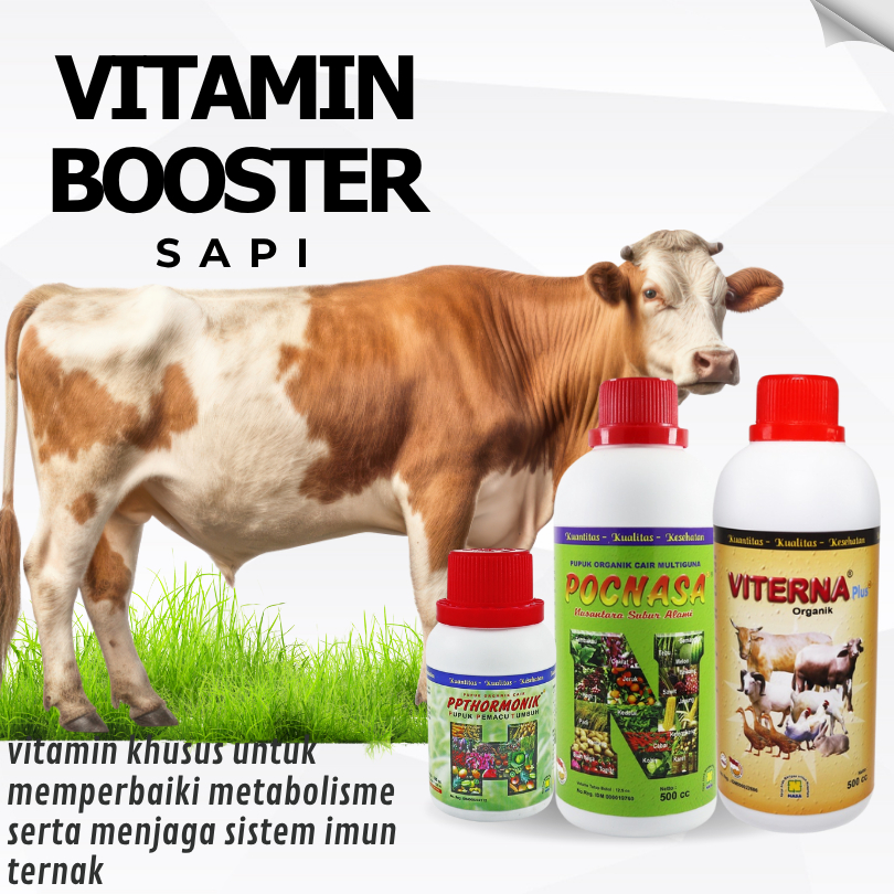 Viterna Plus Nasa Paket Vitamin Ternak Penggemukan Sapi Potong Organik & Hormonik untuk Kambing Domb