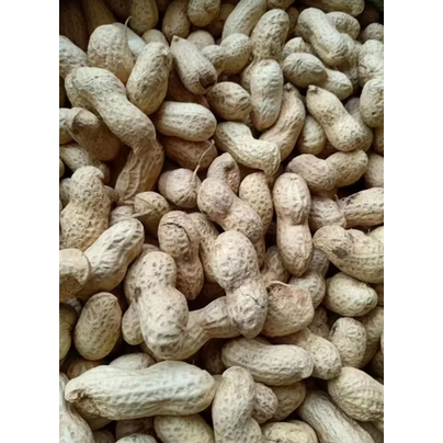 

Kacang Tanah Utuh 1000gr | JBP_Fresh