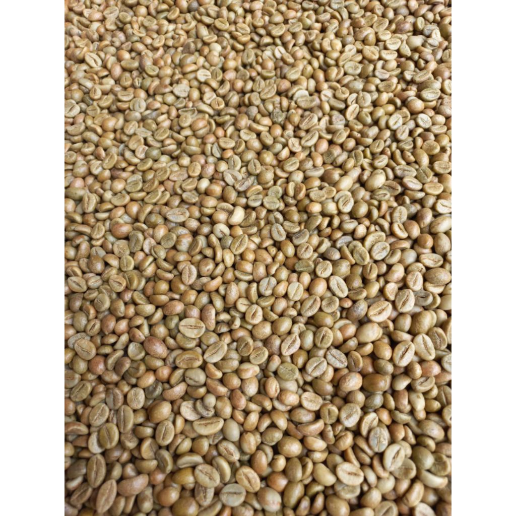 greenbean Robusta Petik Merah (fine) 5 Kg  robusta Temanggung