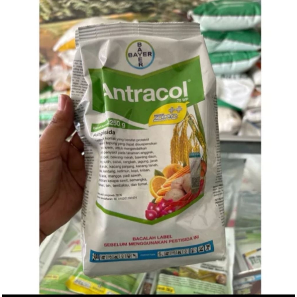 Antracol 250gram