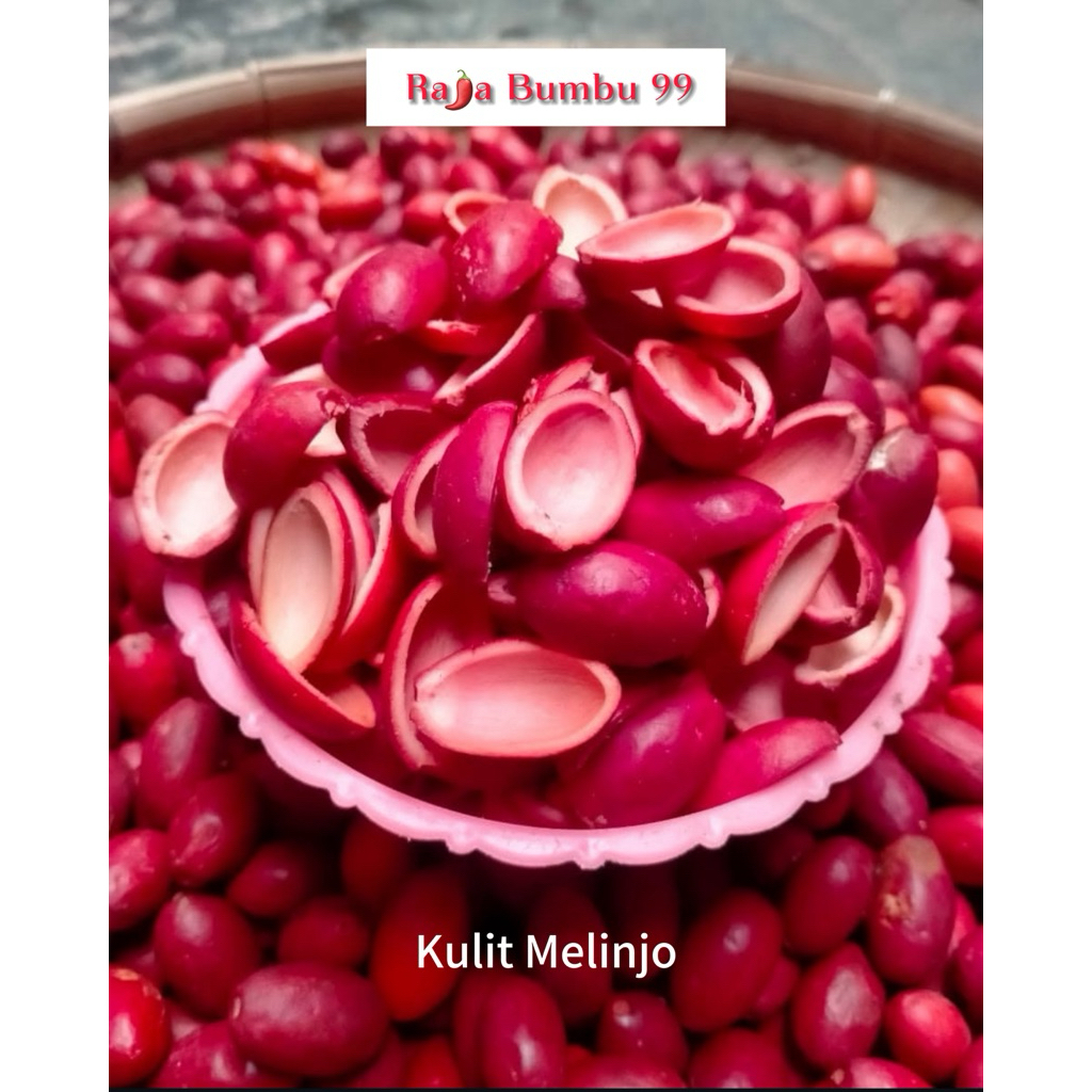 

KULIT TANGKIL 1 pack