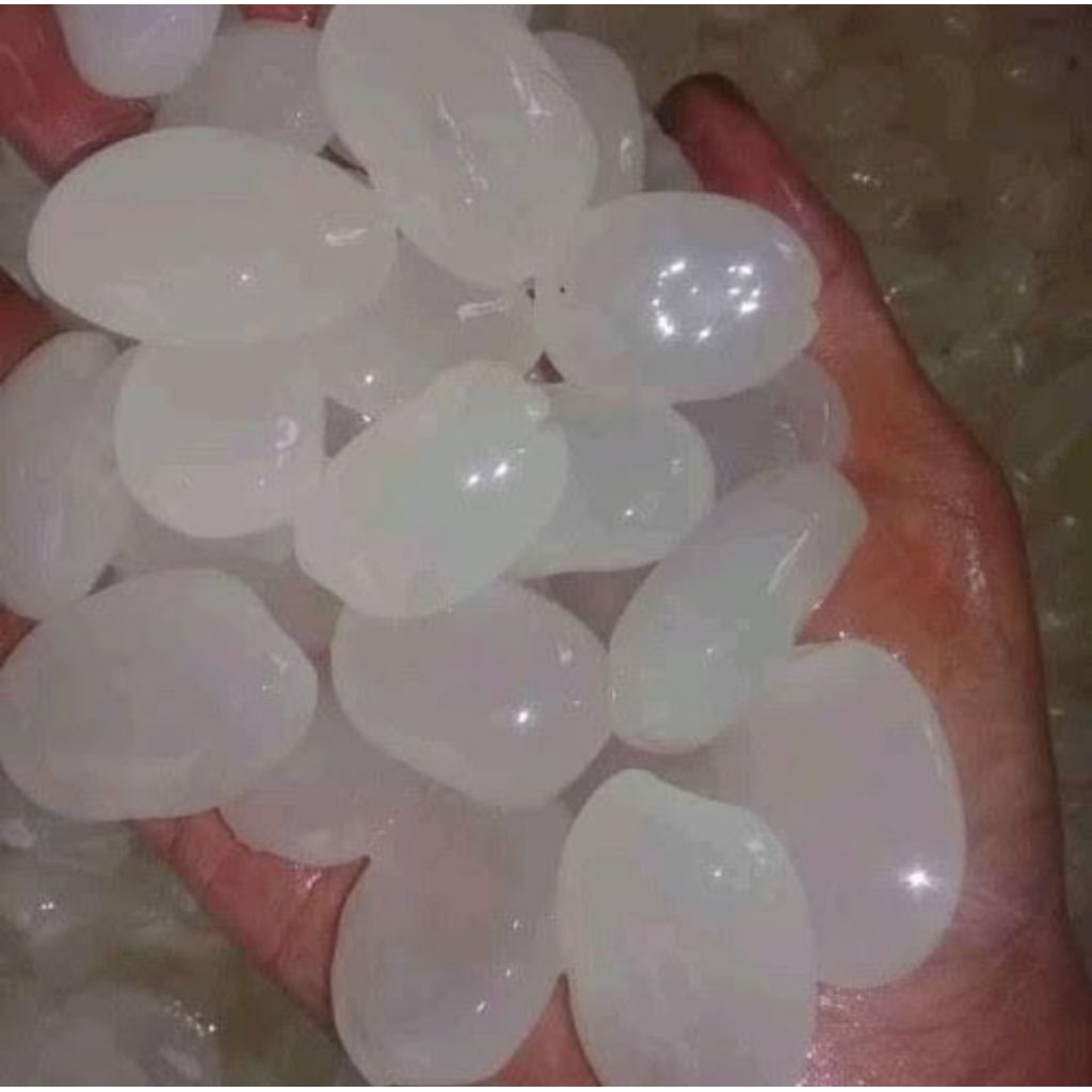 

kolang kaling segar fress 1kg bervitamin dan bermanfaat