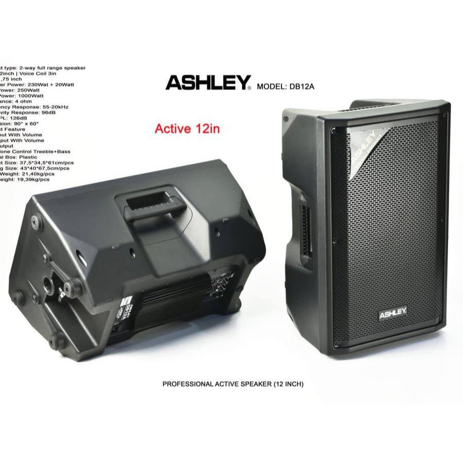 SPEAKER ACTIVE KAROKE ASHLEY DB-12A 12 INCH