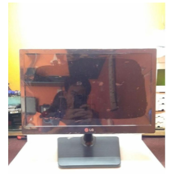 Monitor LG Flatron 16EN33S