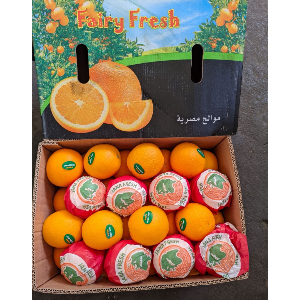 

JERUK NAVEL VALENCIA MESIR JANNA FAIRY FRESH / SUNKIST NAVEL RRC