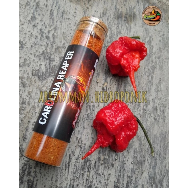 

BUBUK Sambal Fermentasi Pedas Ekstrim Carolina Reaper TF