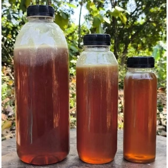 

1kg madu hutan Borneo madu hutan liar madu tawon gong madu tawon asli madu tawon Gung madu madumadu liar hitam madu liar murni madu asli Jember madu liar hutan Riau madu liar hutan 1kg Madu cerana madu cerana 200 cangar madu tawon liar asli madu