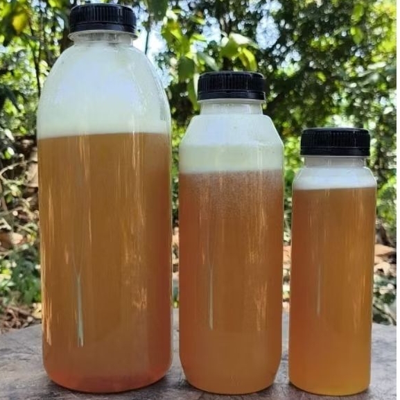 

500gram madu kaliandra asli, madu murni tanpa campuran, madu alami 100%, madu kaliandra murni, madu sehat keluarga, madu alami untuk stamina, madu herbal alami, madu kaliandra ahmad honey, madu premium asli,