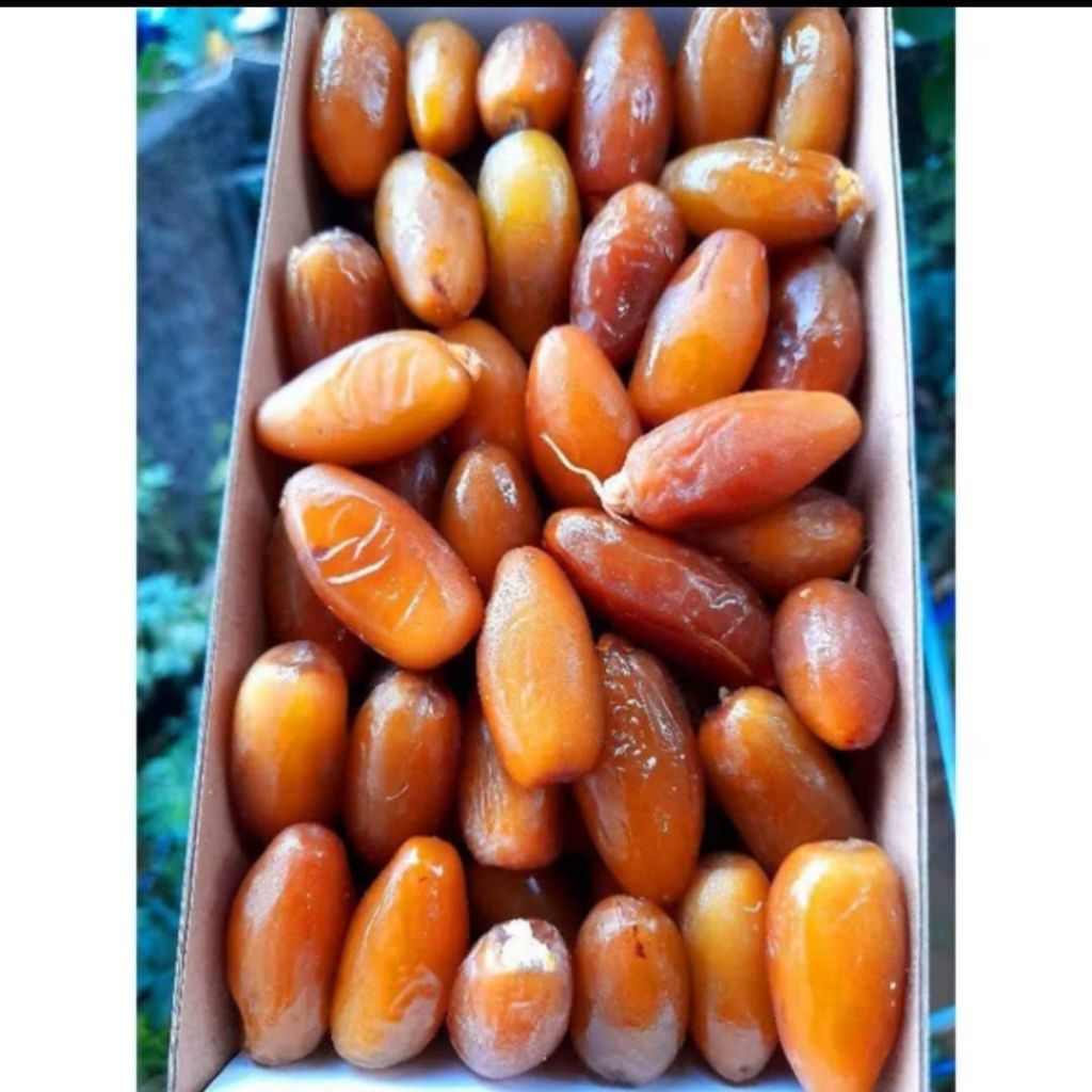 

KURMA RUTHOB KEMASAN 500 GR DAN 1 KG/KURMA SETENGAH MATANG LIBYA SUPER PREMIUM LUXURY DATES 1KG