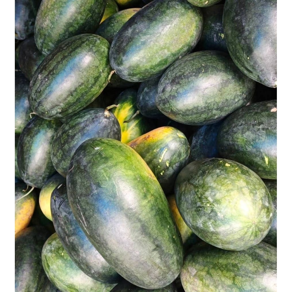 

Semangka madu lokal manis segar