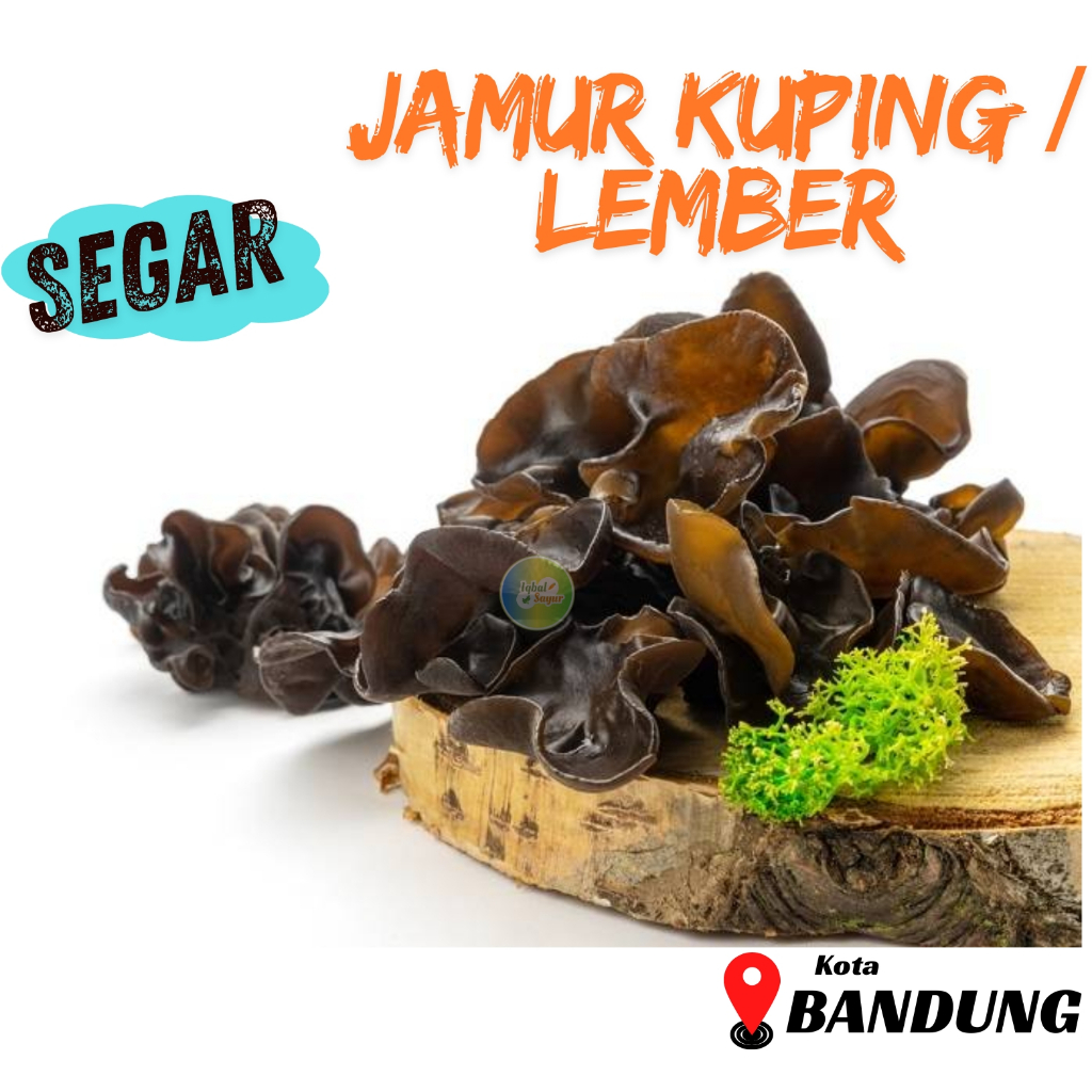 

Jamur Kuping / Lember Segar Bandung