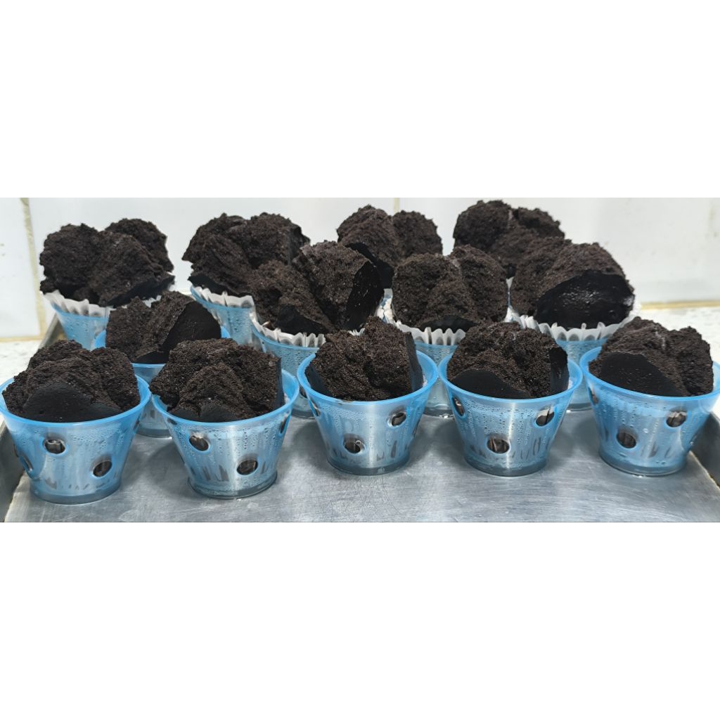 

Kue bolu kukus coklat brownies kukus murah meriah hajatan snack box uk besar