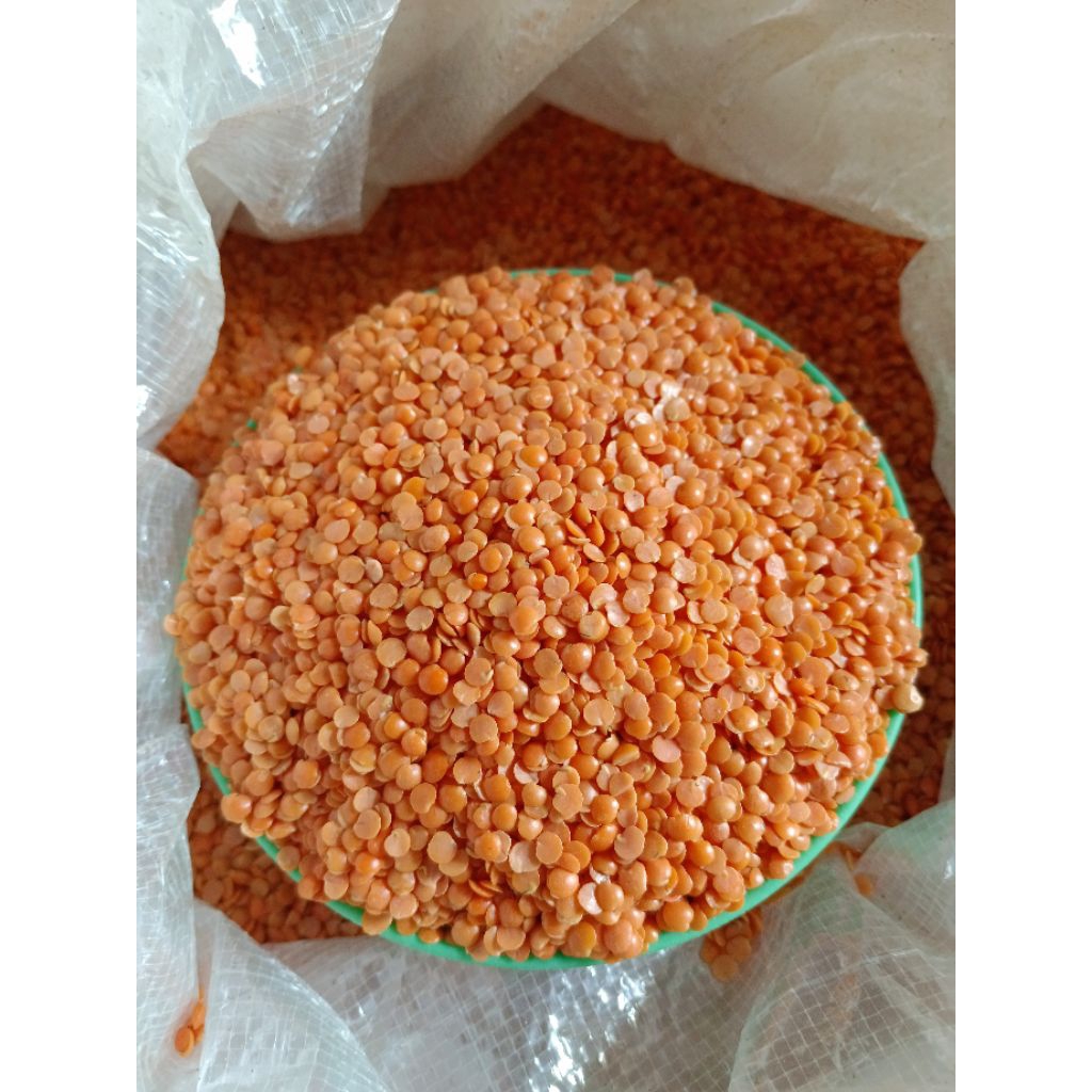 

Kacang Lentil Merah 1Kg / Lentil Merah / Red Lentils / Dall