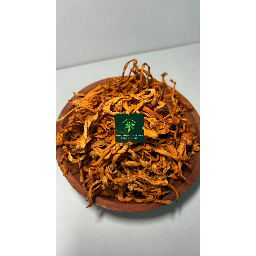 

Bunga Cordyceps Herbal CongCaohua chong cao hua cong cao hua chongcaohua Cordyceps Militaris 虫草花 untuk kesehatan paru paru dan stamina 10gr - 50gr