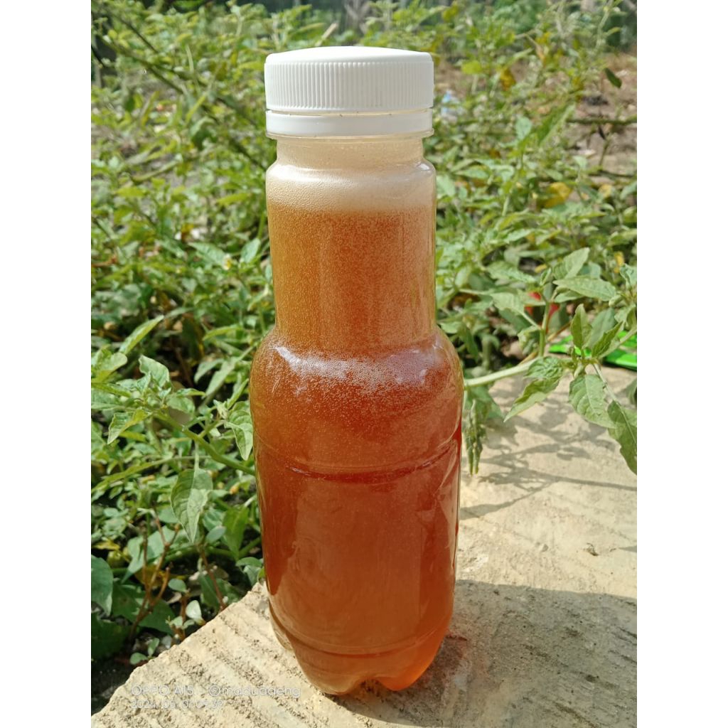

setengah kilo (350ml) madu hutan Liar