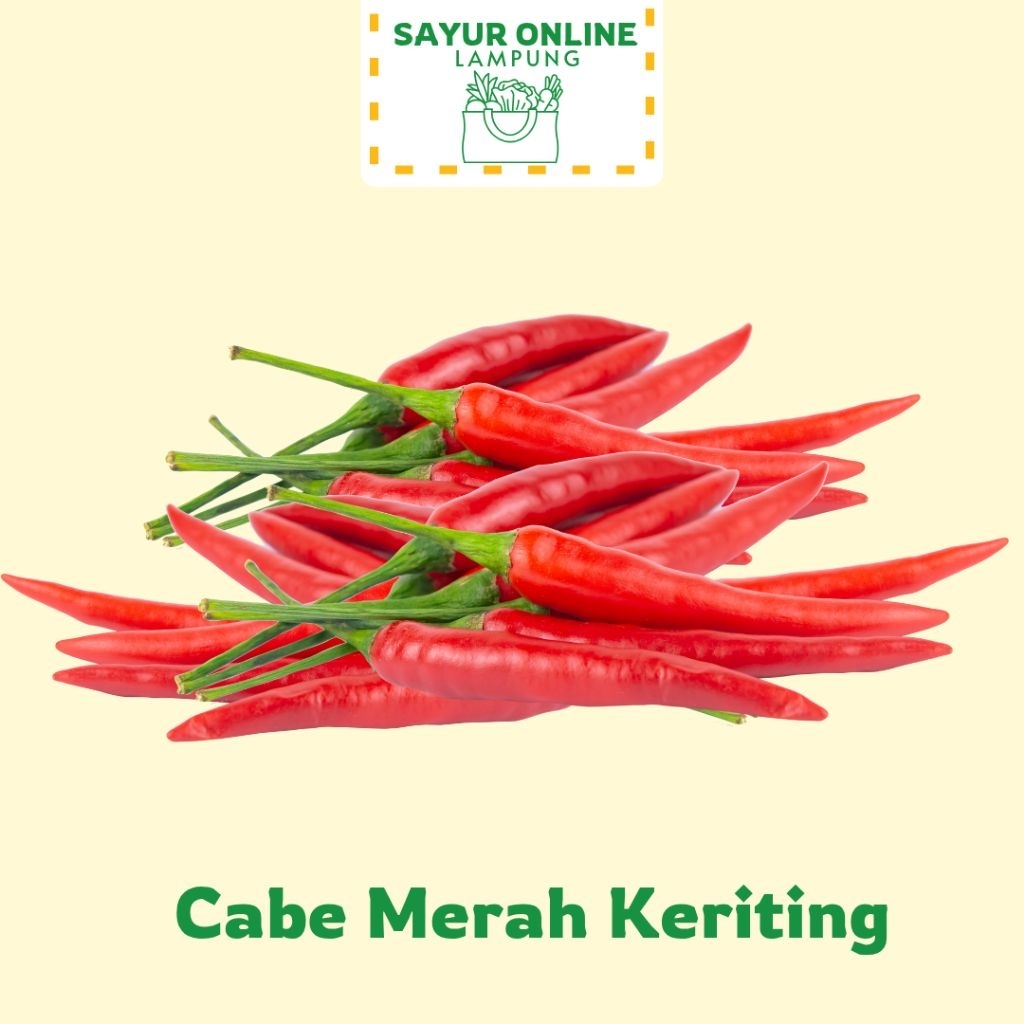 

Cabe Merah Keriting - 500 Gram - Harga Grosir - Sayur Online Lampung