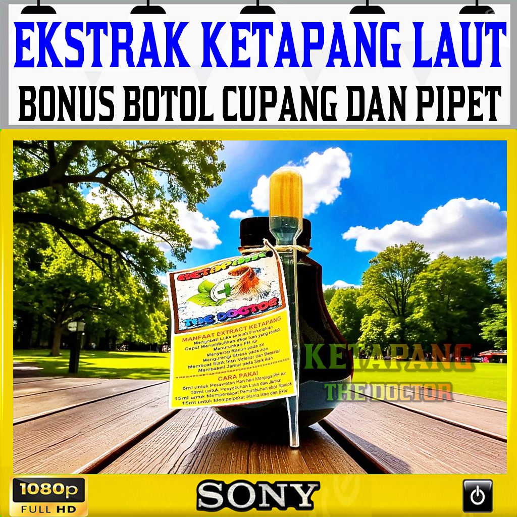 EKSTRAK DAUN KETAPANG LAUT | EXTRACT DAUN KETAPANG LAUT