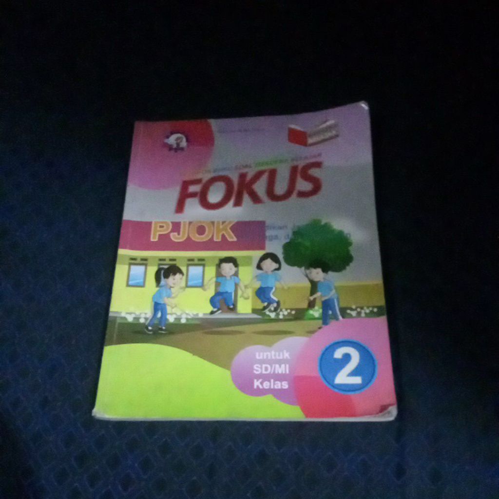 FOKUS PJOK KELAS 2 KURIKULUM MERDEKA