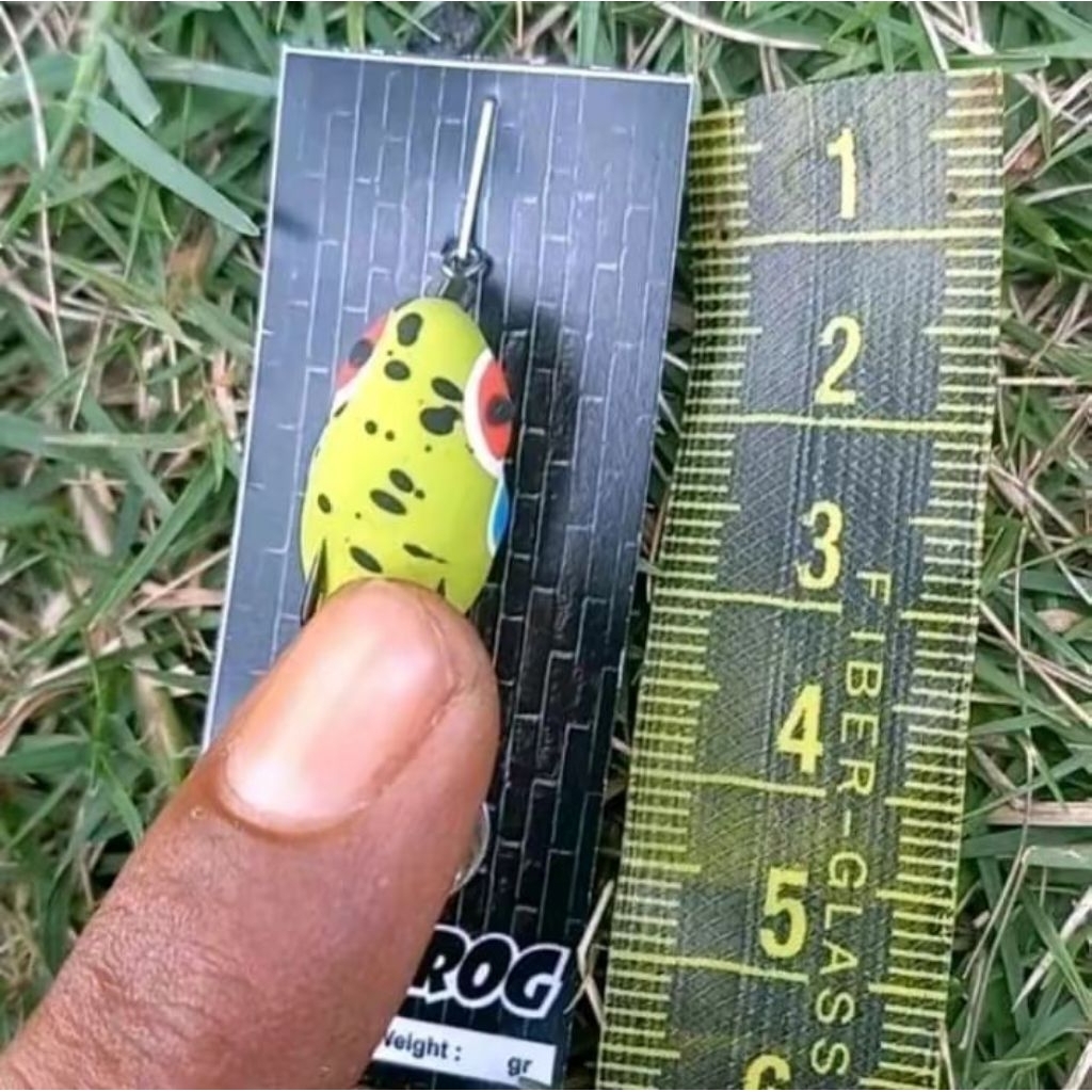 Umpan sofrog mini killer