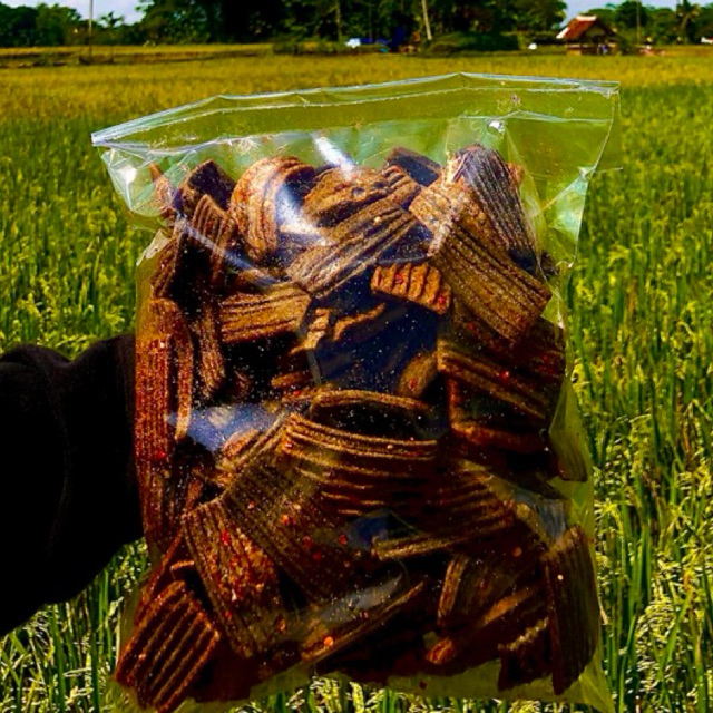 

Krupuk Seblak Jengkol Pedas Kemasan 500 Gram