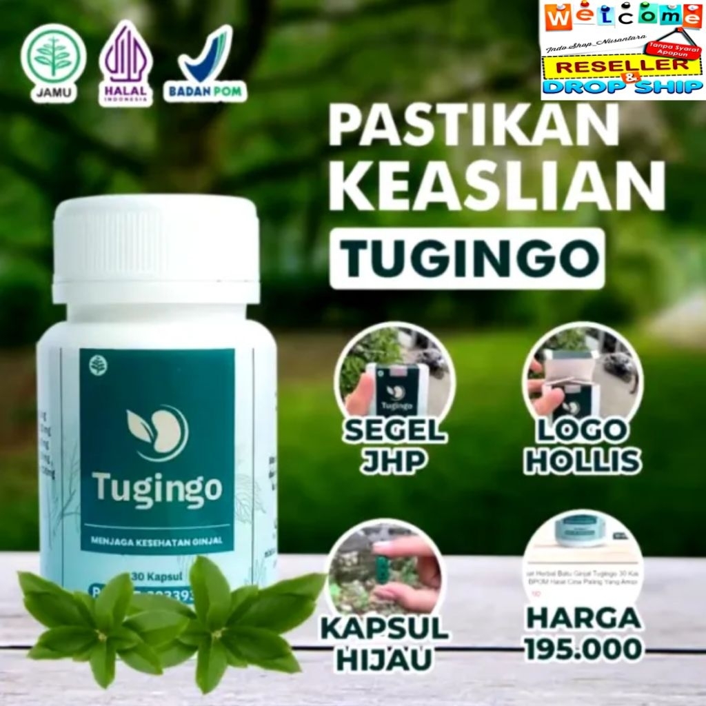 Tugingo Original Herbal Batu Ginjal Bpom | Obat Herbal Batu Ginjal Tugingo 30 Kapsul