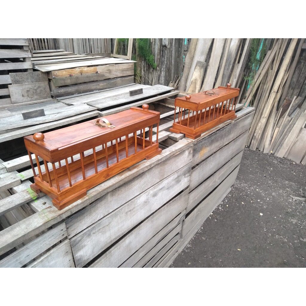 TEMPAT PAKAN KOLONI BURUNG| TEMPAT PAKAN KOLONI BURUNG MERPATI| KOTAK PAKAN BURUNG| KOTAK PAKAN BURU