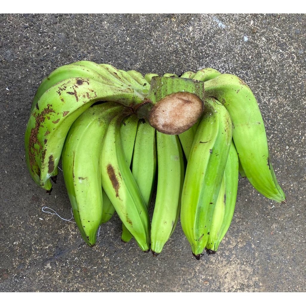 

PISANG NANGKA 1KG PISANG RAJA