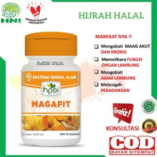 Magafit obat herbal Penyakit Maag