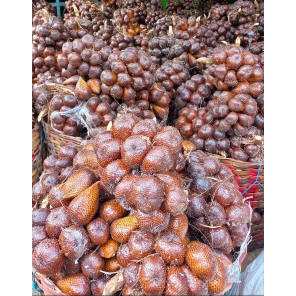 

Salak Pondoh Asli Rasa Manis Asam Asli Dari Petani