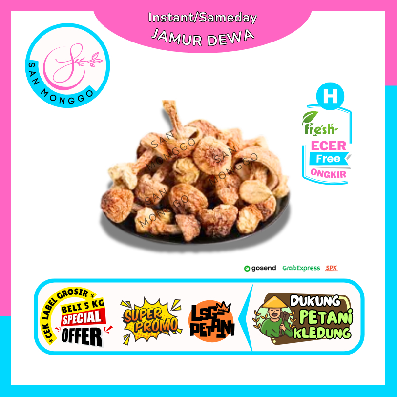 

Sanmonggoo >> Jamur Dewa Blaze Brazil -- Hasil Bumi Sindoro Sumbing Ecer (H)