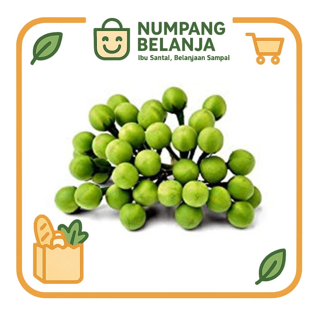

buah takokak sayur fresh [100g]